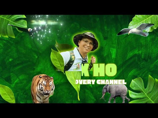 Intro Alex Ho Discovery Channel
