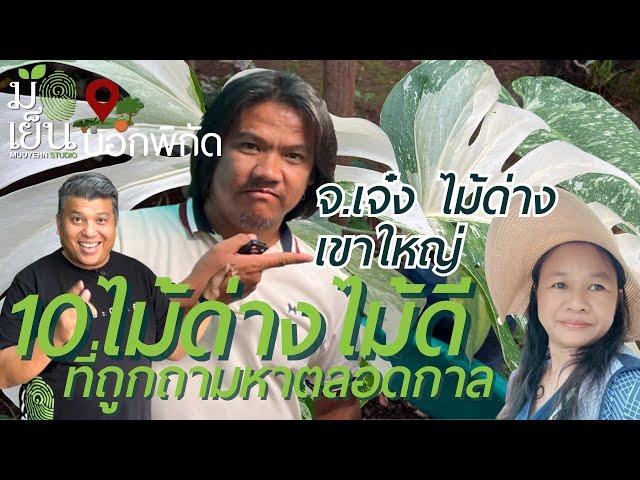 10 ไม้ด่าง ไม้ดี ที่ถูกถามหาตลอดกาล กับ จ.เจ๋ง ไม้ด่าง เขาใหญ่ I มือเย็นบอกพิกัf