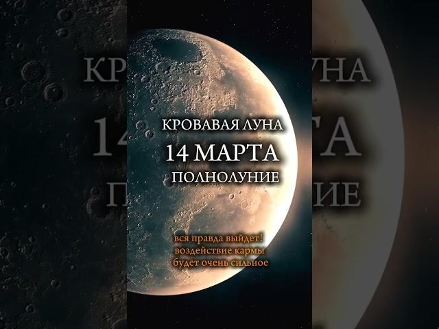 14 МАРТА САМЫЙ МОЩНЫЙ ДЕНЬ ПОДПИШИСЬ #кроваваялуна #полнолуние #энергиялуны #космическаясила
