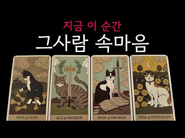 상대방 속마음