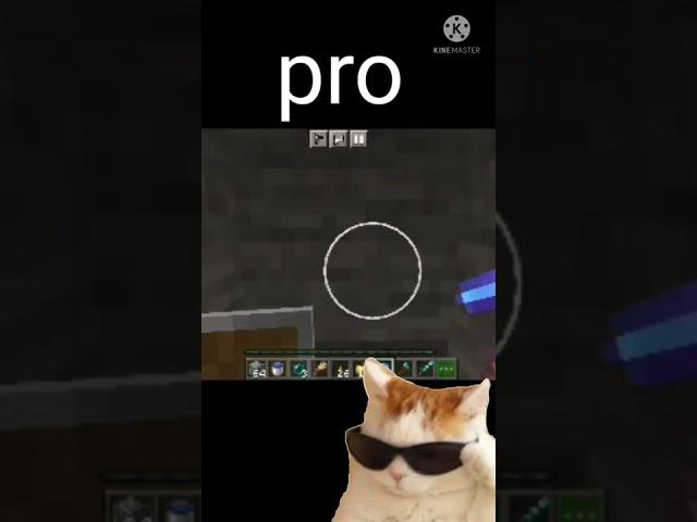 Minecraft noob vs pro vs hacker
