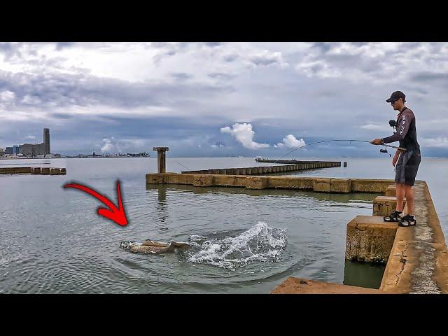 MASSIVE MONSTER FISH found while urban fishing downtown texas