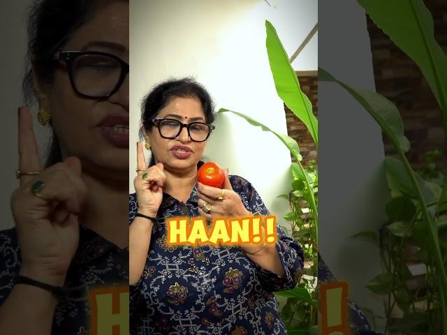 टमाटर टमाटर टमाटर, बस हुआ टमाटर..! #shorts #viral #trending #tomato