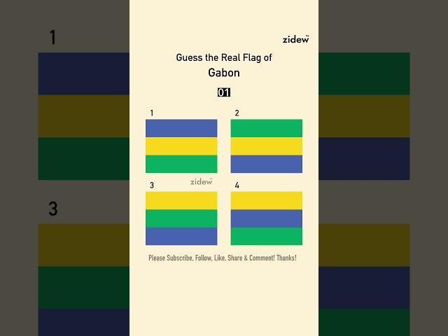 Guess the Real Flag 88• Gabon • Enrich IQ • zidew #flag #quiz #country #geography