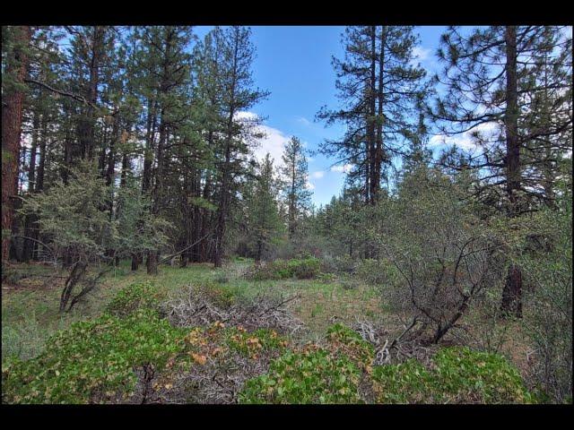 Land For Sale, Klamath, OR: 2.27-Acre Partially Fenced Wooded Lot With Good Access & Power Nearby !!