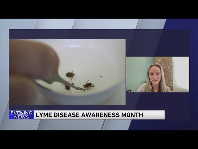 Lyme Disease Awareness Month: Signs to look out for