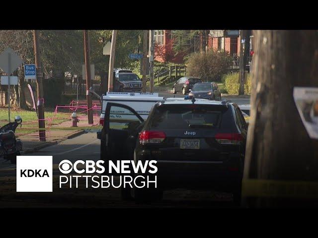 Woman hit, killed by driver in Pittsburgh's Point Breeze neighborhood