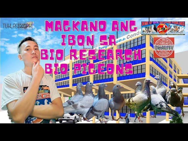 TUKLASin presyo ng kalapati sa BIO PIGEONS | Young Bird | Yearlings | Breeders | Foundation Cock