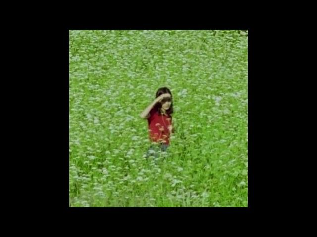 (free for profit) slow indie + d4vd type beat "hopeless romantic"