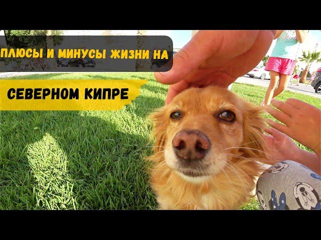Плюсы и минусы жизни на Северном Кипре
