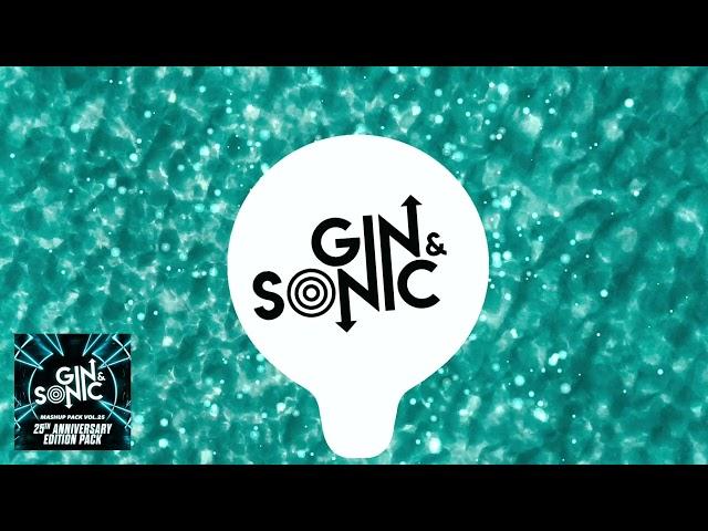 Gin and Sonic Mashup Pack Vol. 25 - 25th Anniversary Edition - 20+ Tracks - Free Download
