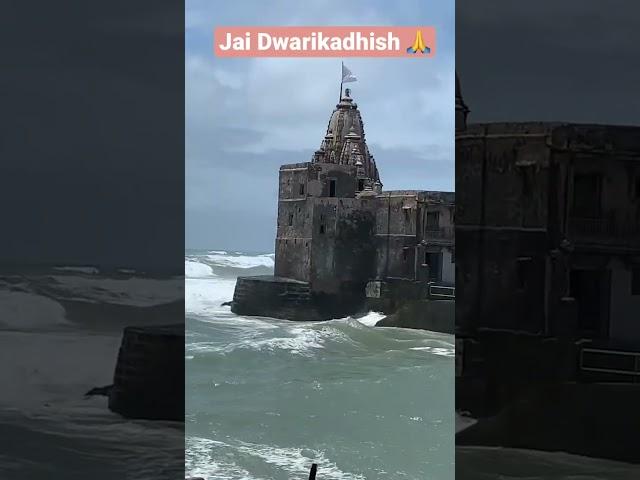 Dwarkadhish  Dwarka Dham #gujrat dwarka #dwarkadhish #vlog #shorts #vlogs #gujarat #krishna #sea