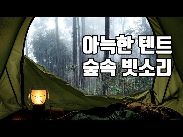 토독토독~ 아늑한 텐트 안에서 듣는 숲속 빗소리