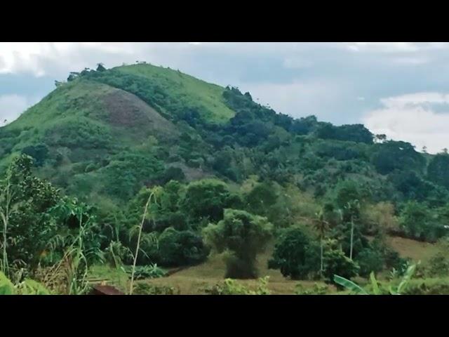 THE BEAUTY OF MOUNT EGGANG AND MOUNT DIPALUTAW