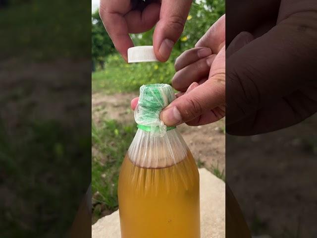 You’ll Never Throw Away Bottle Caps Again After Seeing This!