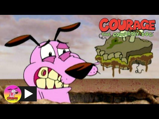 Courage The Cowardly Dog | Cursed Book | Cartoon Network