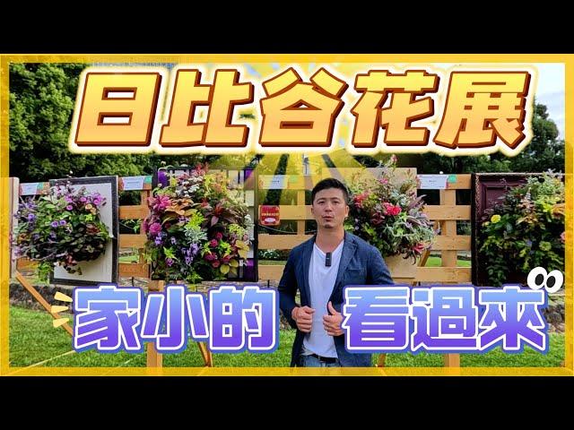 【陪你看花_10】又來了，日比谷掛花展！適合家裡比較小，光照位置很小的。我是愛種花的伊恩，這是一個分享種植物的小頻道，讓我們一起變綠手指吧。