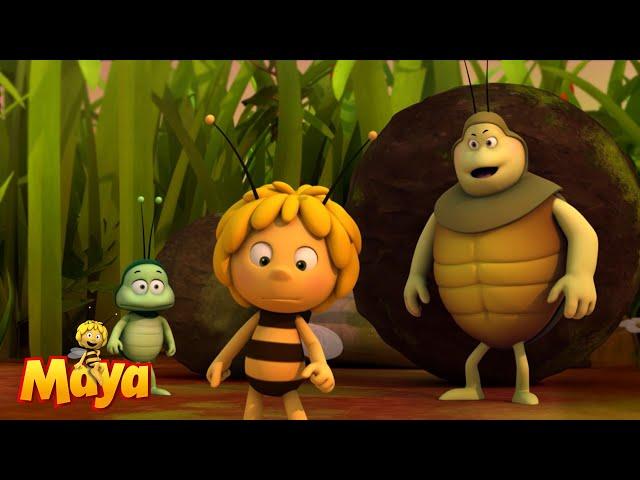 WAKE UP FLIP!! We are here! - Maya the Bee  - FULL COMPILATION