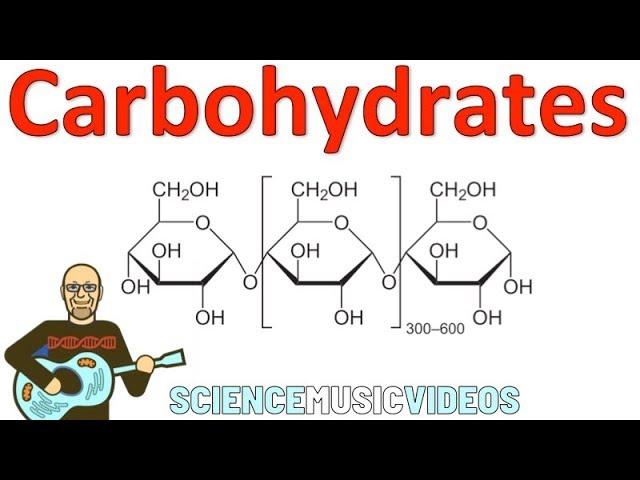 Carbohydrates