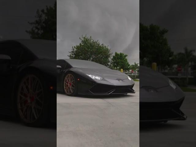WATCH TILL THE END!