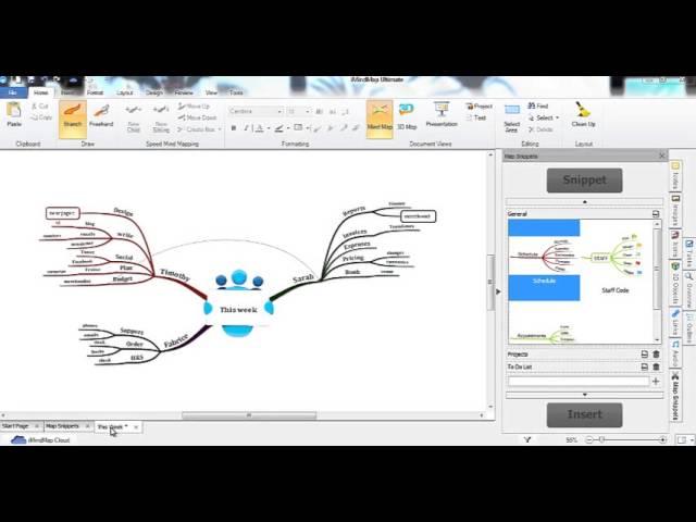 iMindMap 6 - Map Snippets