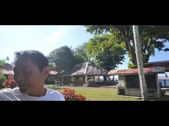 Xmandre REACTION of an Incredible Paradise Resort for Tourist in Philippines #reactions #reaction