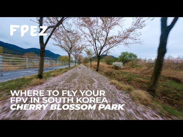 Where can you fly FPV in South Korea?