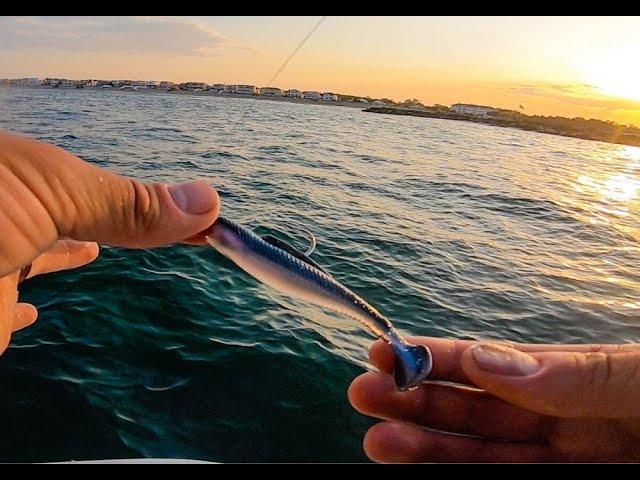 Epic Sunset Fishing off the Beach - Smoked Bluefish Dip Catch and Cook