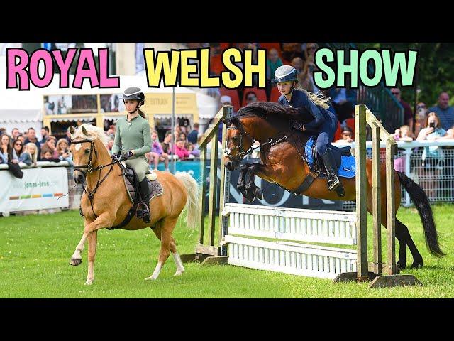 ROYAL WELSH HORSE SHOW WITH POPCORN AND ROLO!