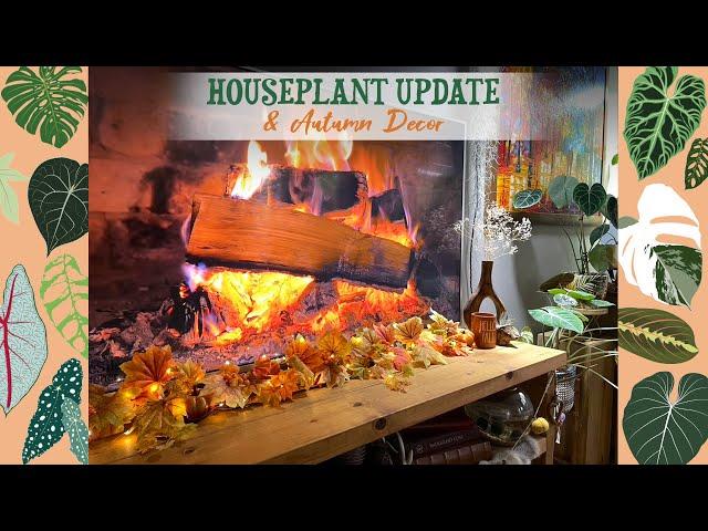 Houseplant Update & New Autumn Decor 