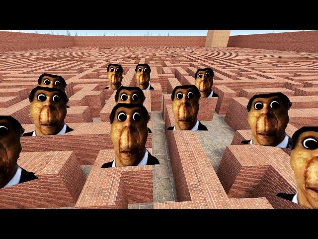 OBUNGA CHASES US IN THE LABYRINTH, OBUNGA NEXTBOT Garry's Mod