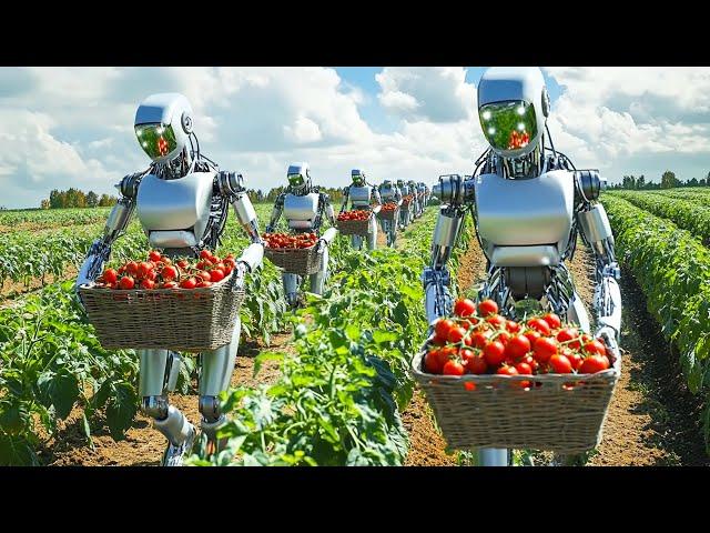 How Robots Harvest Millions Of Acres Of Farmland Every Day!