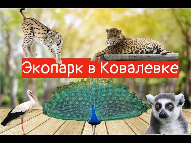 Экопарк / Зоопарк / Ковалевка/ Полтавская область / Мы в экопарке !