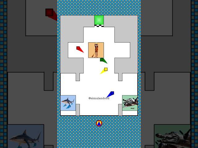 Squares vs. Brainrots