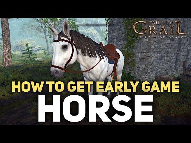 Tainted Grail - How To Get A Horse EARLY Game