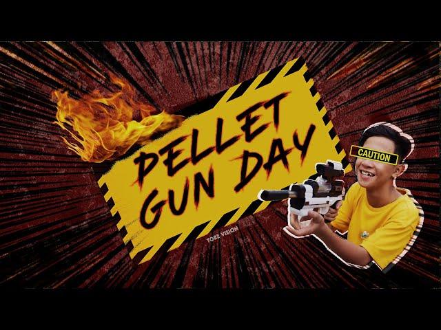 National Pellet Gun Day - Torz Vision