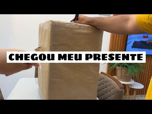 NOVO INTEGRANTE NA CASA | NOAH QUEBROU MEU CELULAR + FIQUEI BEM RUIM | GANHEI DE ANIVERSÁRIO!!