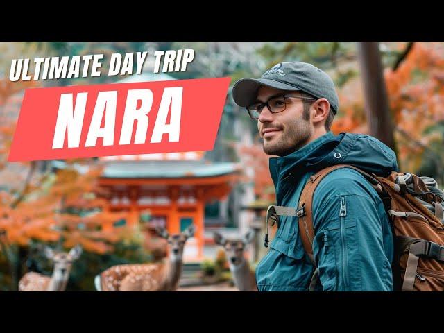 Ultimate Day Trip to Nara, Japan | Day Trip from Osaka