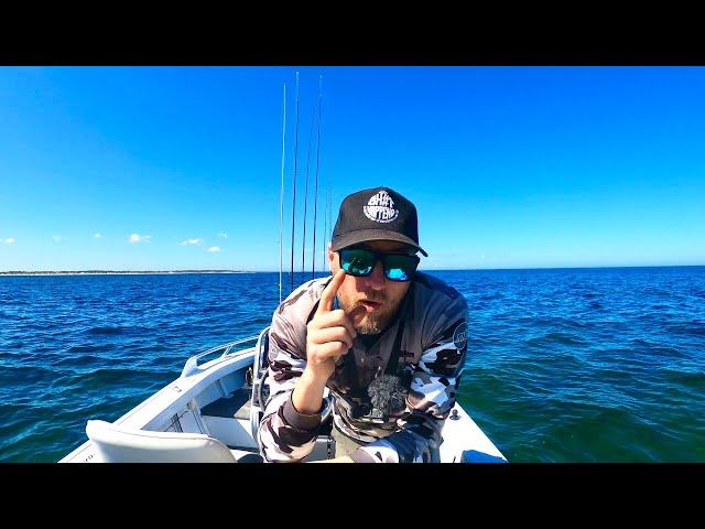I can’t believe I used BAIT - SIMPLE TIP for more whiting