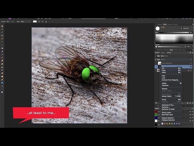 Is it possible to extract Masks from Adjustment Layers in Affinity Photo?