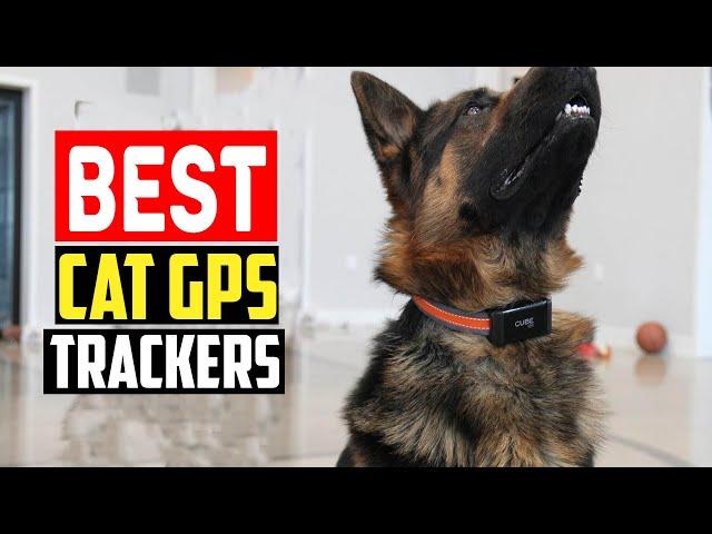 Top 5 Best Cat GPS Trackers of 2024