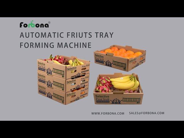 forbona automatic fruits tray forming Machine