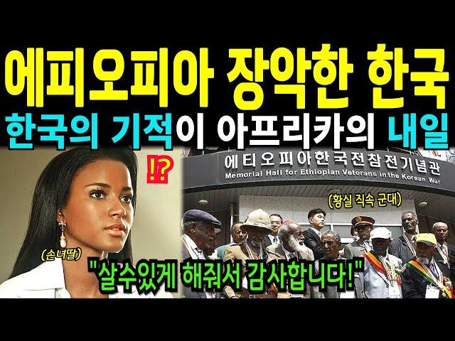 [해외감동사연] 한국화된 에티오피아 농업. 한국만 도울 수 있던 이유에 난리난 아프리카