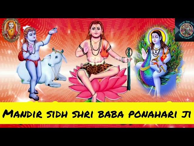 Baba Paunahari Uchi Shaan Waliyan | Lakhwinder Wadali | Baba Balak Nath Ji Bhajan | Jai Babe Di |