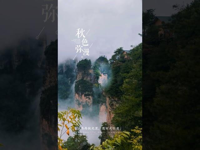 The beautiful scenery in Avatar mountain after raining,travel in Zhangjiajie of China