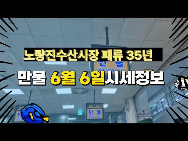6월 6일 노량진수산시장 만물 (패류031) 시세정보 입니다. 35년 경력으로 믿고 찾아주세요
