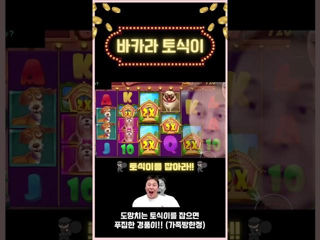 슬롯잭팟 "도그하우스 메가웨이즈 멍멍왈왈 1100배 8천만원"  #프라그마틱 #온라인슬롯 #슬롯 #슬롯실시간
