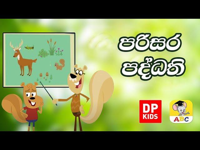 පරිසර පද්ධති | Professor Squirrel   Nutly Ecosystems