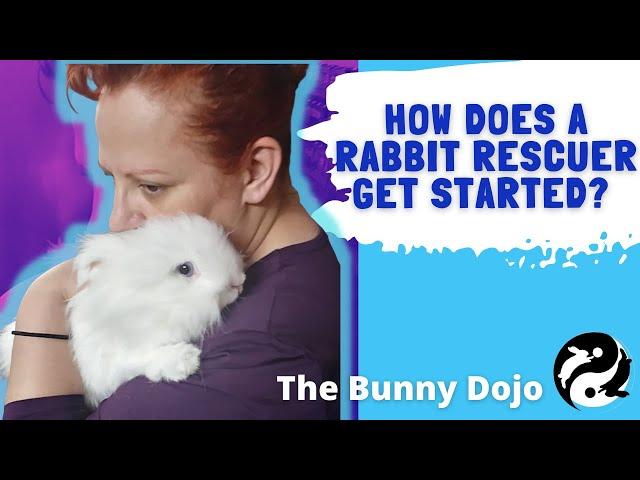 THE LEGEND OF THE BUN HATTER: Inspiration