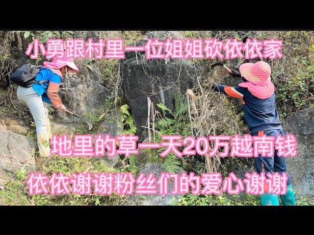 农村工作小勇干活一天20万 别人家地都种完了依依家刚砍草真的好害羞2-3-2023